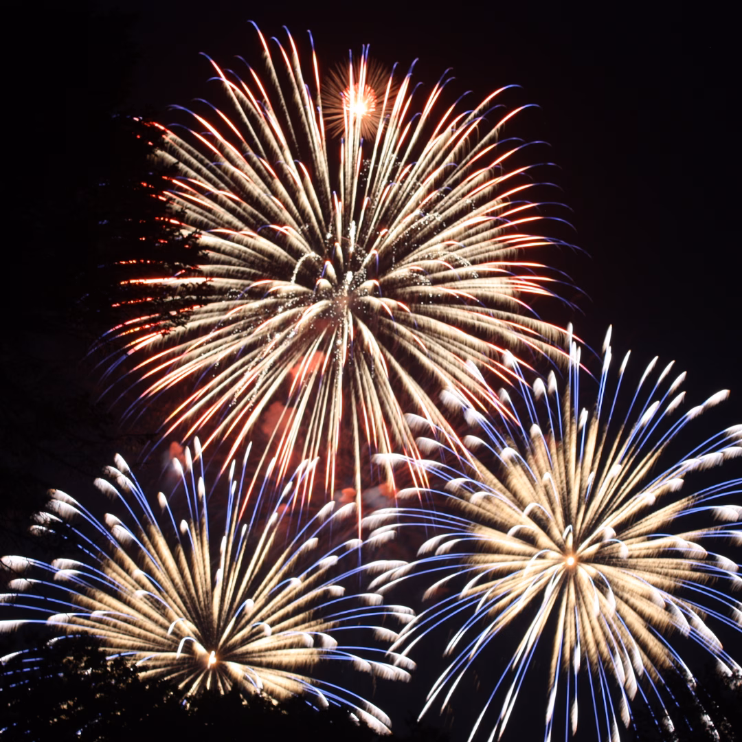 Three bright exploding fireworks against the night sky.