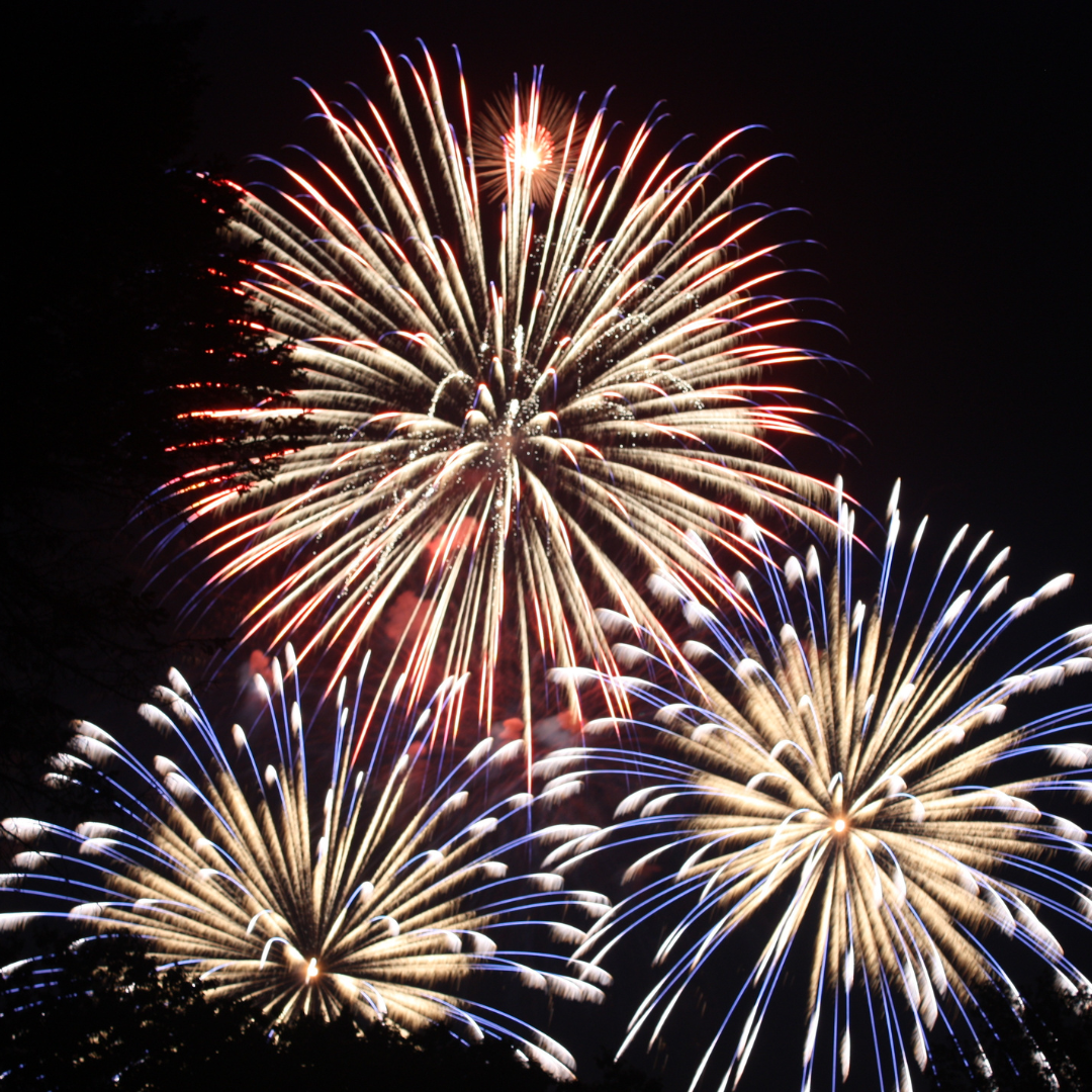 Three bright exploding fireworks against the night sky.