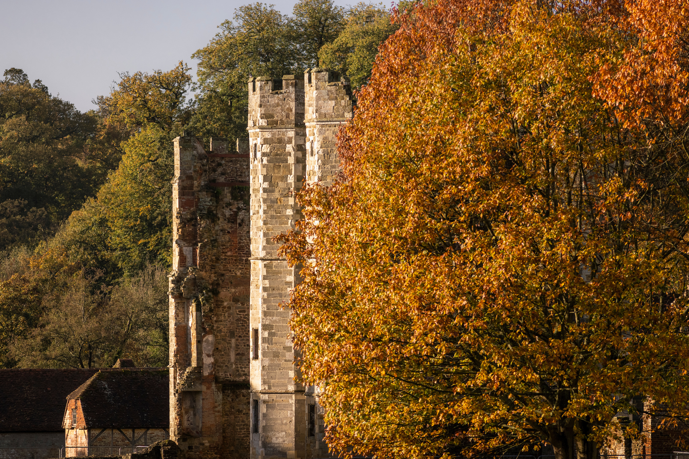A view of The Ruins in Midhurst with a tree about to shed it's orange leaves in Autumn.